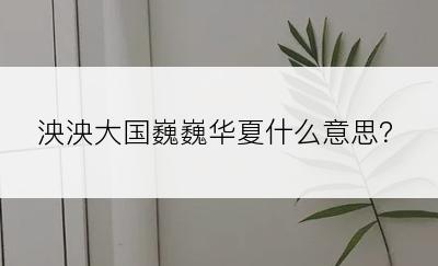 泱泱大国巍巍华夏什么意思？
