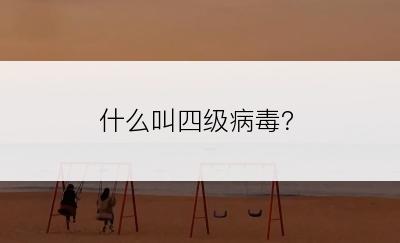 什么叫四级病毒？