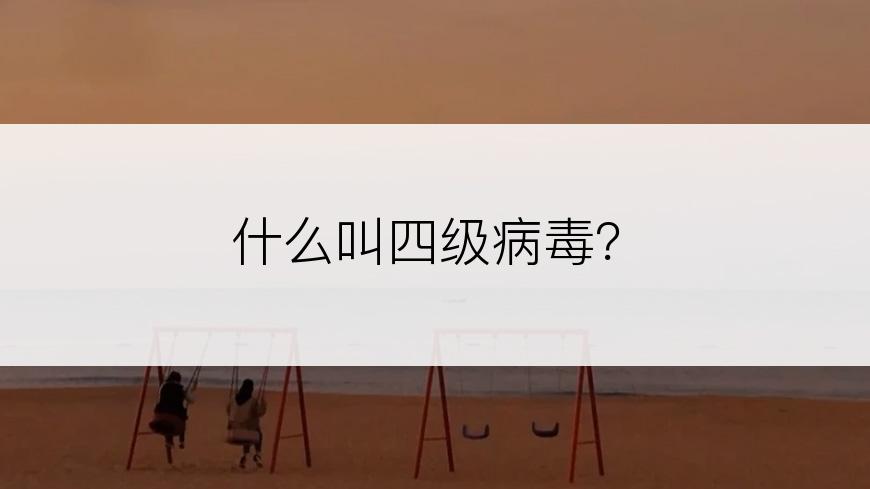 什么叫四级病毒？