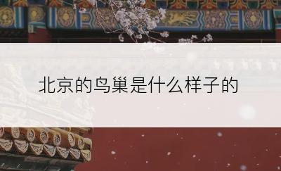 北京的鸟巢是什么样子的