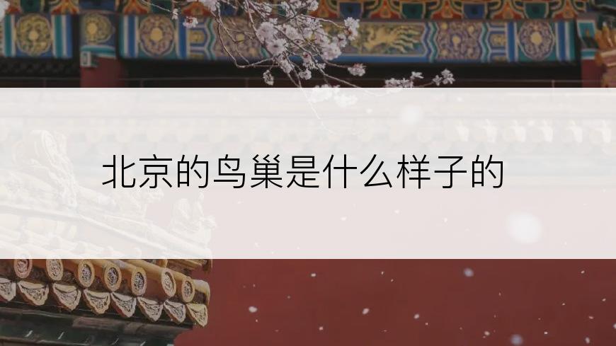 北京的鸟巢是什么样子的