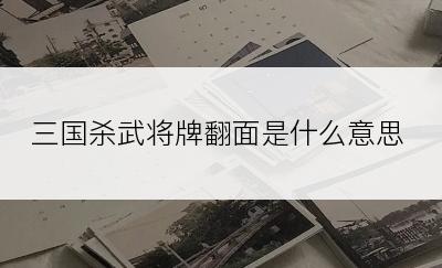 三国杀武将牌翻面是什么意思