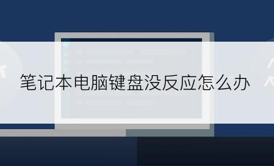 笔记本电脑键盘没反应怎么办