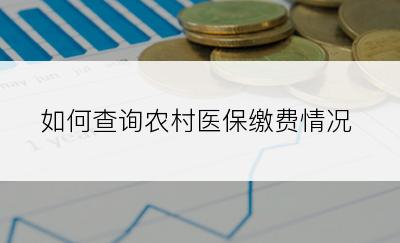 如何查询农村医保缴费情况