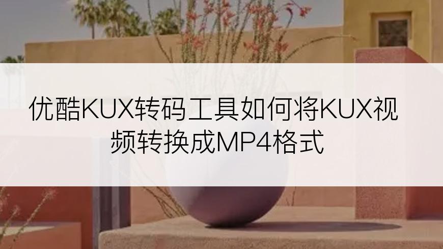 优酷KUX转码工具如何将KUX视频转换成MP4格式