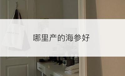 哪里产的海参好