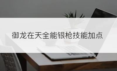 御龙在天全能银枪技能加点