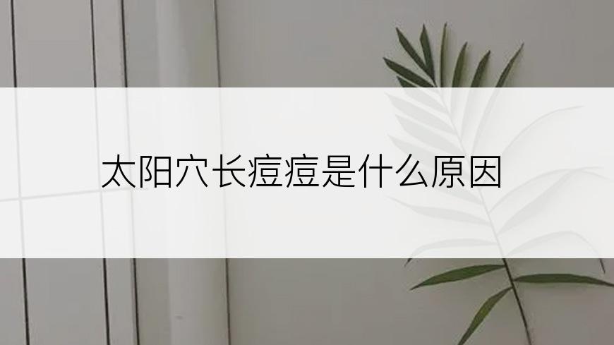 太阳穴长痘痘是什么原因