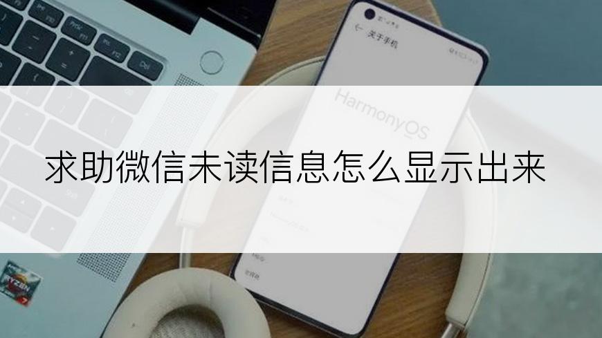 求助微信未读信息怎么显示出来