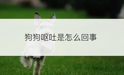 狗狗呕吐是怎么回事