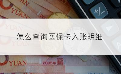 怎么查询医保卡入账明细