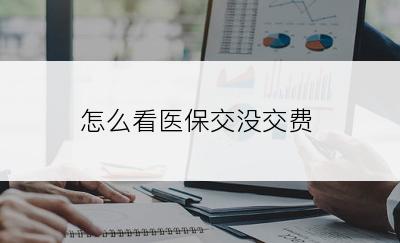 怎么看医保交没交费