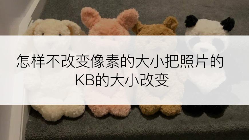 怎样不改变像素的大小把照片的KB的大小改变