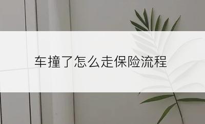 车撞了怎么走保险流程