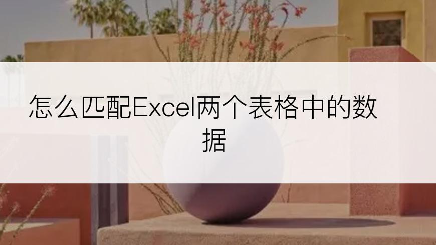 怎么匹配Excel两个表格中的数据