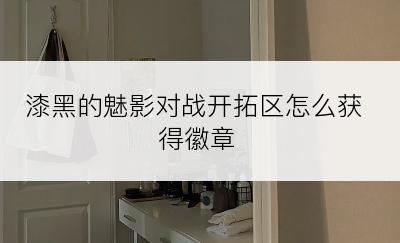 漆黑的魅影对战开拓区怎么获得徽章
