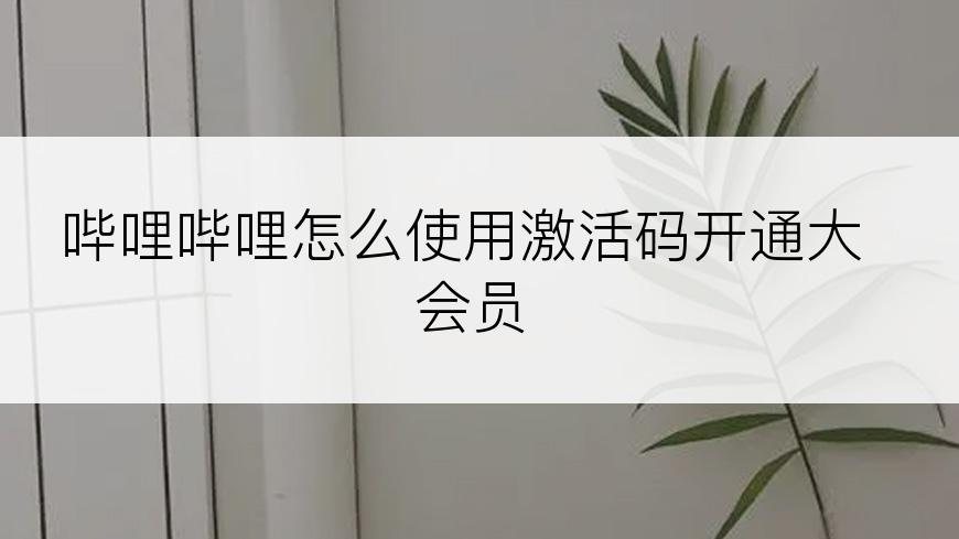 哔哩哔哩怎么使用激活码开通大会员