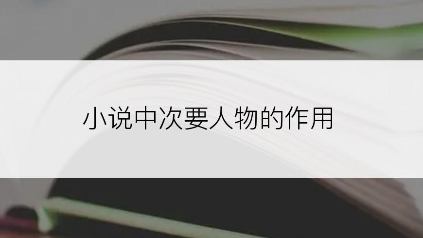 小说中次要人物的作用