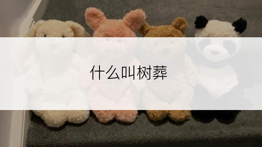 什么叫树葬