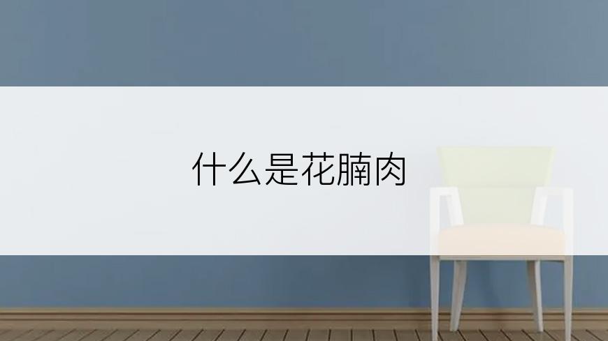 什么是花腩肉