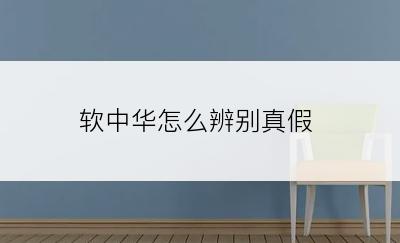 软中华怎么辨别真假