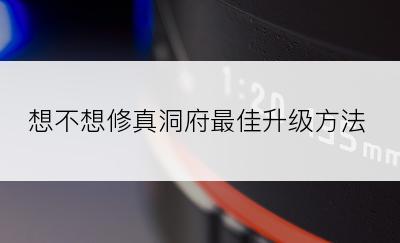 想不想修真洞府最佳升级方法