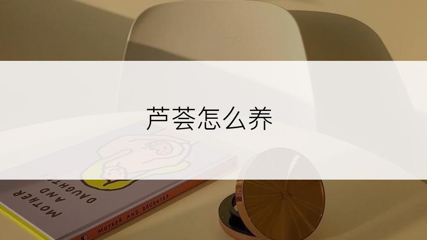 芦荟怎么养