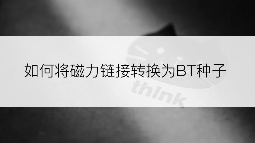 如何将磁力链接转换为BT种子