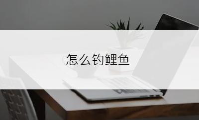 怎么钓鲤鱼