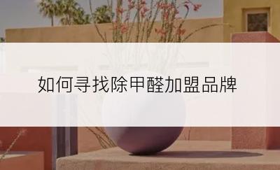 如何寻找除甲醛加盟品牌