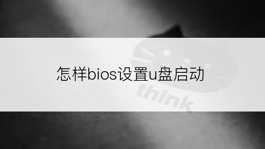怎样bios设置u盘启动