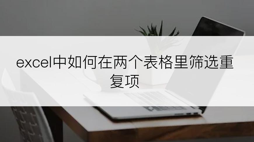 excel中如何在两个表格里筛选重复项