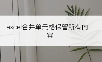 excel合并单元格保留所有内容