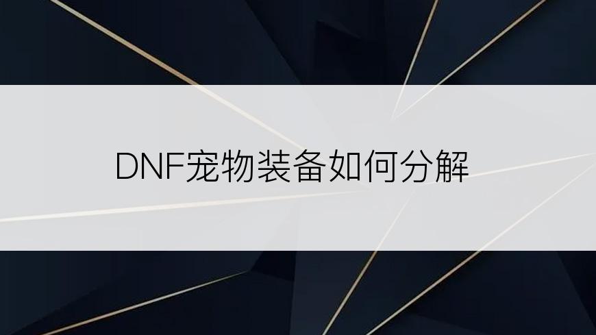 DNF宠物装备如何分解