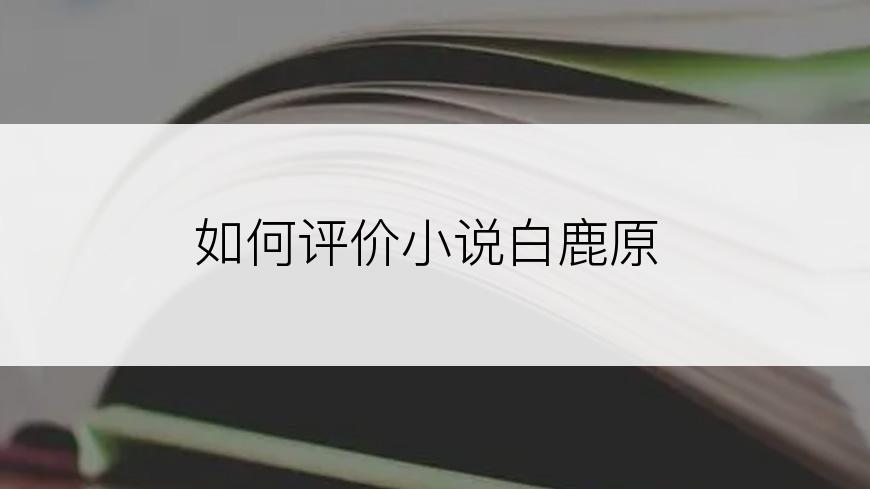 如何评价小说白鹿原