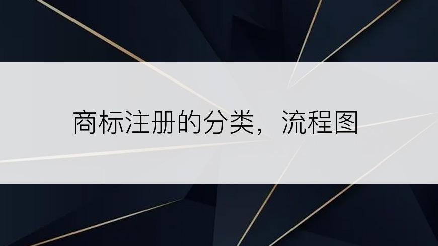 商标注册的分类，流程图