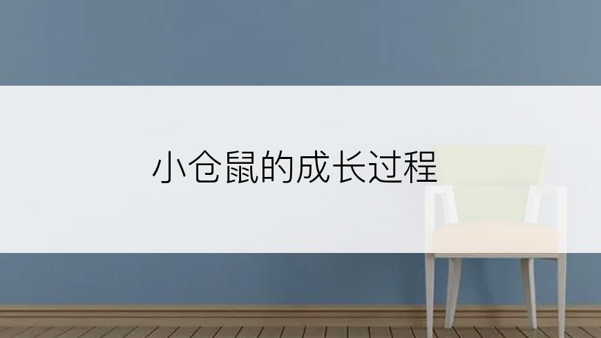小仓鼠的成长过程