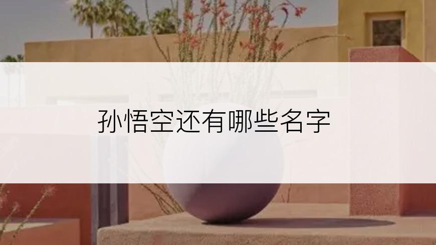 孙悟空还有哪些名字