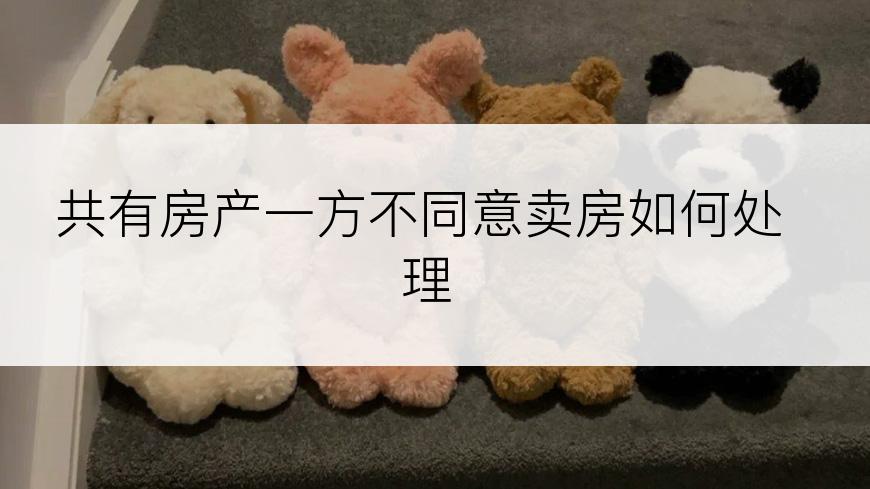 共有房产一方不同意卖房如何处理