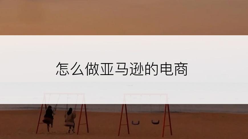 怎么做亚马逊的电商