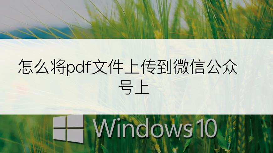 怎么将pdf文件上传到微信公众号上