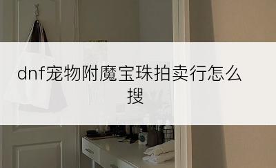 dnf宠物附魔宝珠拍卖行怎么搜