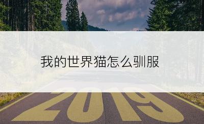 我的世界猫怎么驯服