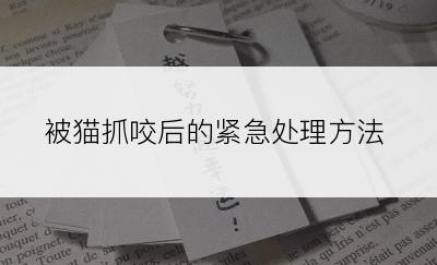 被猫抓咬后的紧急处理方法