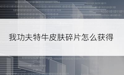 我功夫特牛皮肤碎片怎么获得