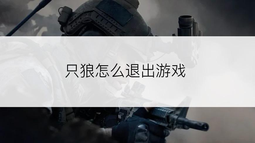 只狼怎么退出游戏