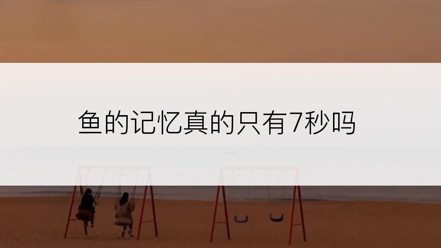 鱼的记忆真的只有7秒吗