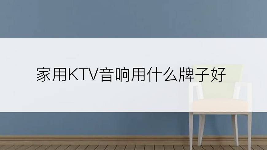 家用KTV音响用什么牌子好