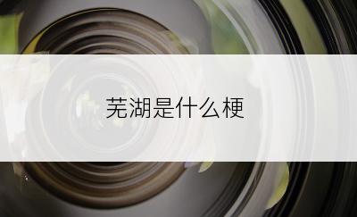 芜湖是什么梗