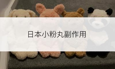 日本小粉丸副作用